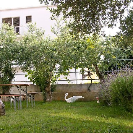Pepi Apartments 1 Zadar Luaran gambar